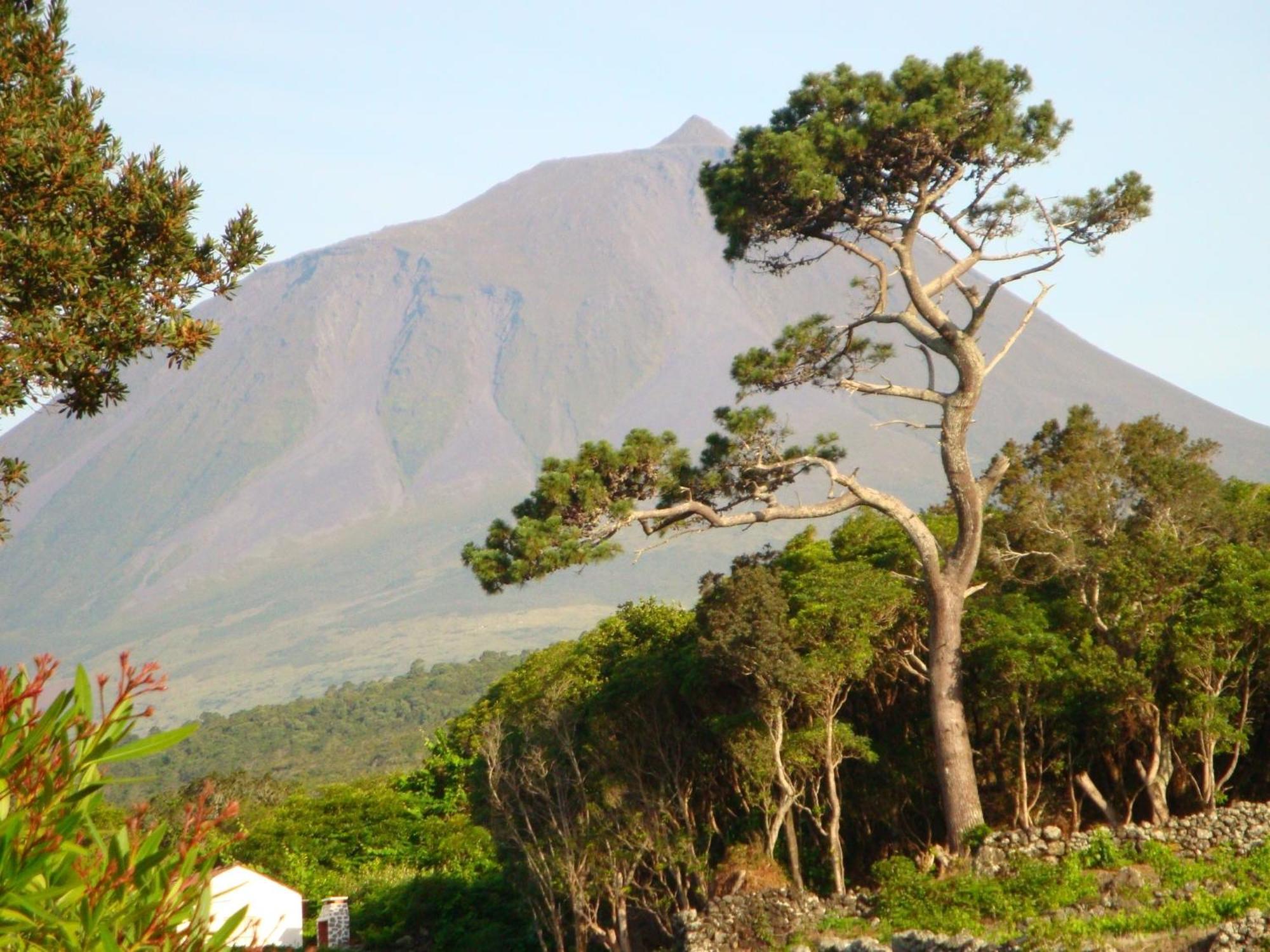 Aldeia Da Fonte Hotel Lajes do Pico Kültér fotó