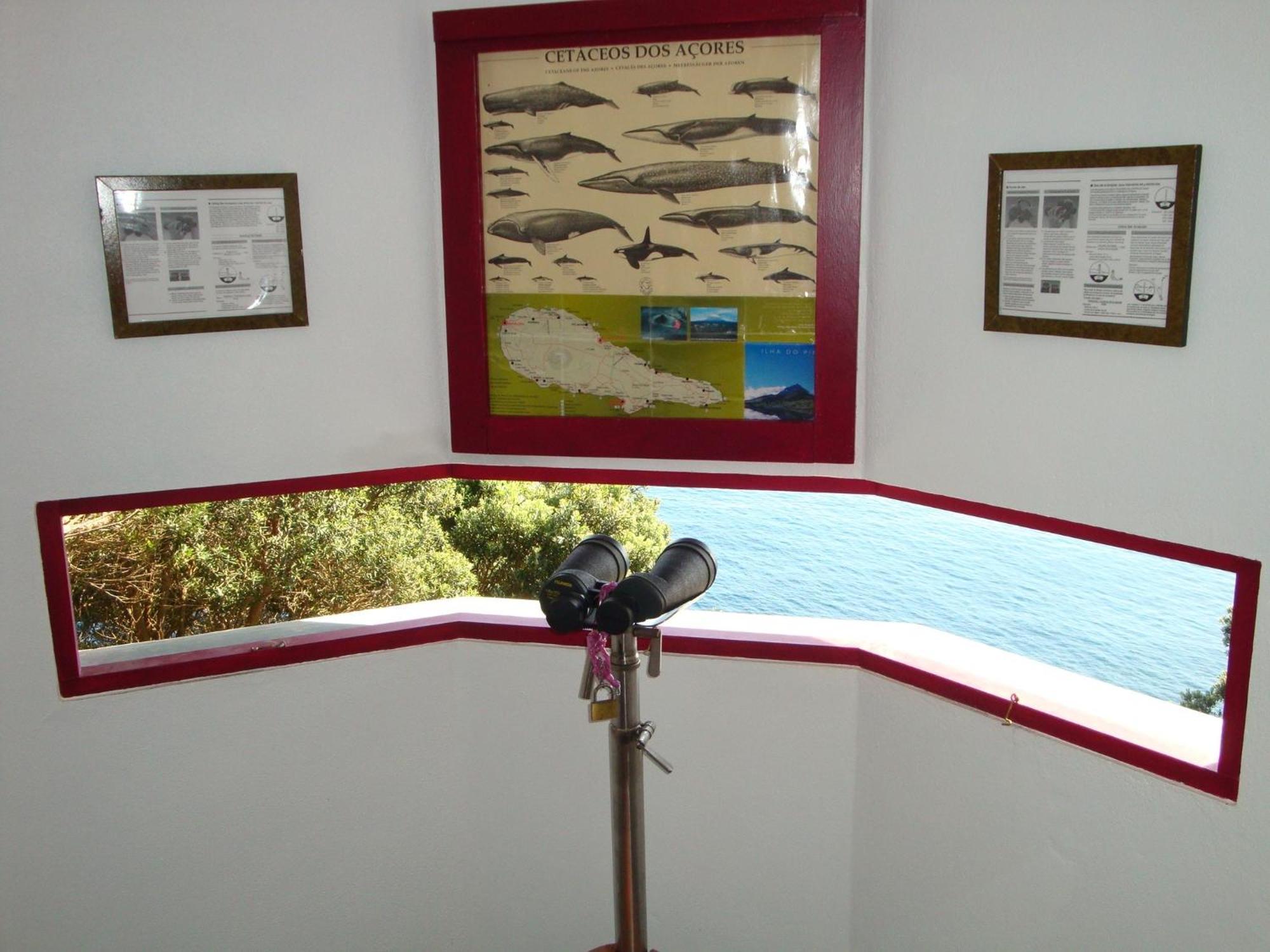 Aldeia Da Fonte Hotel Lajes do Pico Kültér fotó