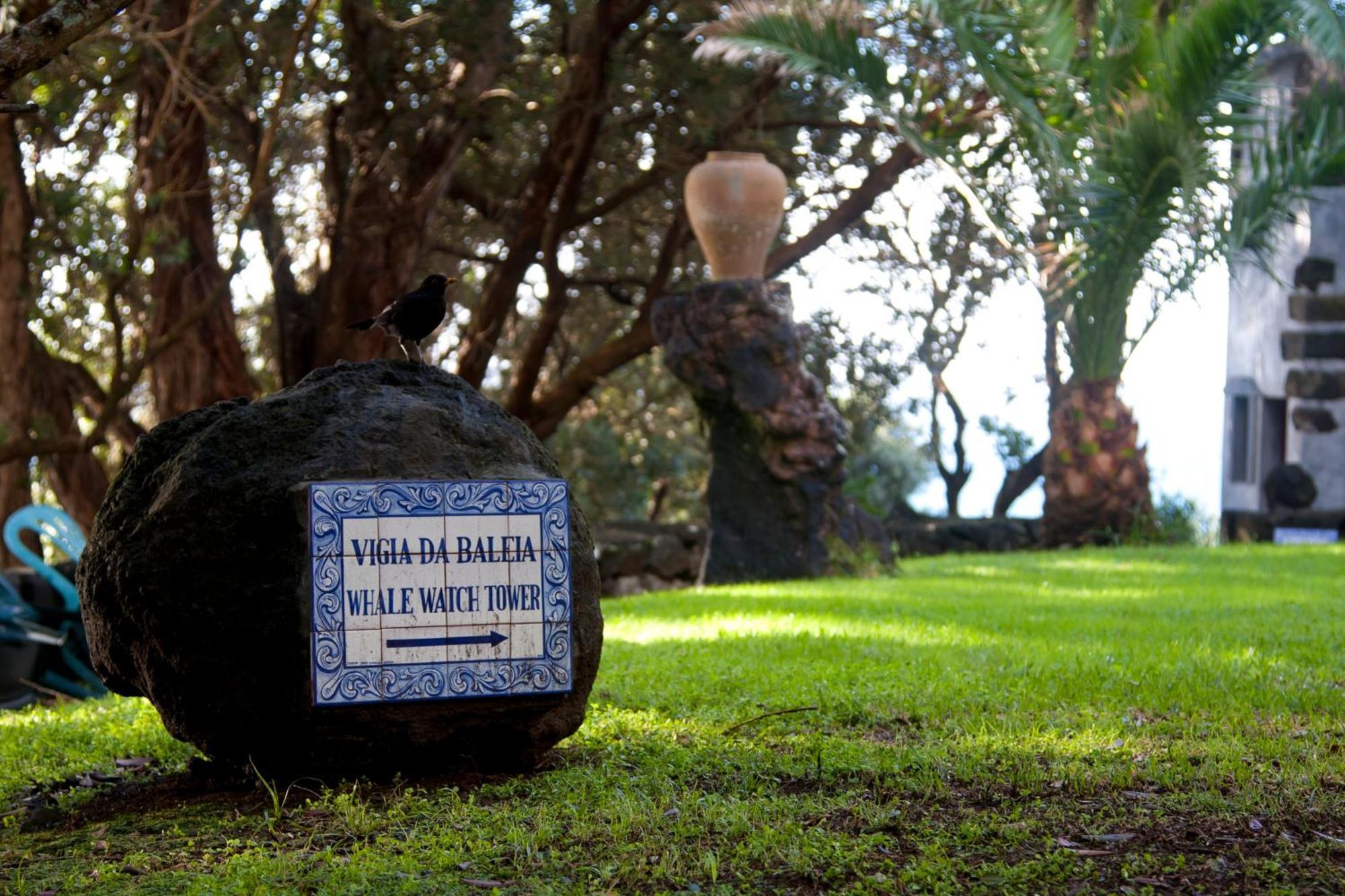 Aldeia Da Fonte Hotel Lajes do Pico Kültér fotó